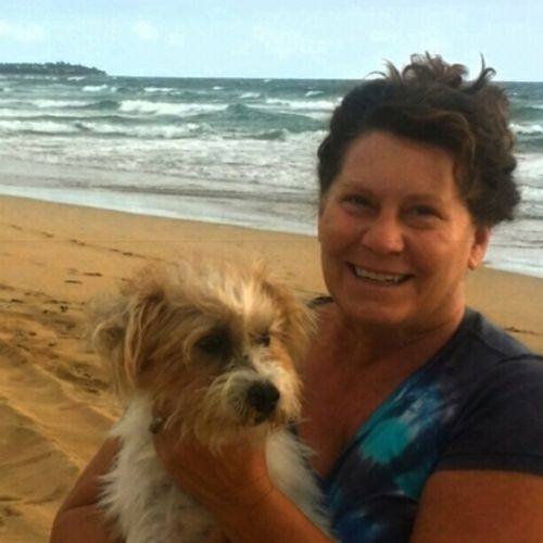 Pet Care Provider Holly M's Profile Picture