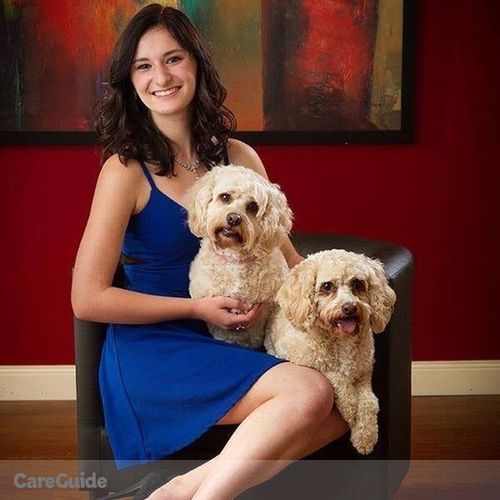 Pet Care Provider Abby R's Profile Picture