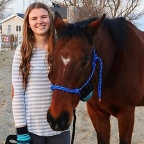 Pet Care Provider Crystal P's Profile Picture