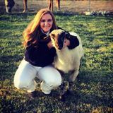 Disciplined Pet Sitter in Yuba City, California