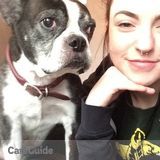Dog Sitter/Walker