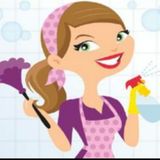 Cleaner/Organizer