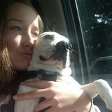Pet Sitter/ Boarder
