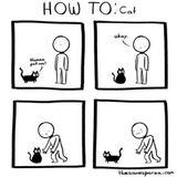 Looking for Capable Cat Sitting in UTC