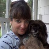 Qualified Dog Sitting Professional in Washington