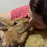 Providing love and care to your pets