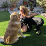 Qualified, Experienced Housesitter and More - Available Now!