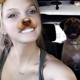 Interested In Daytona Beach Pet Sitting Professional Jobs