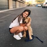 Loving pet sitter