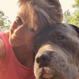 Retired Veterinary Technologist that would love to work for you...Please let me watch your house and pets while you have fun!