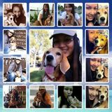 Interested In House Sitter, Pet Sitter, Dog Walking, Housekeeper Job in Temecula and Murrieta