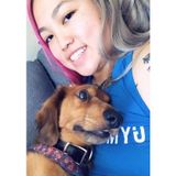 Pet Sitter & Dog Walker Available!