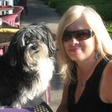 Dependable cat sitting or Dog Walking Available Now!