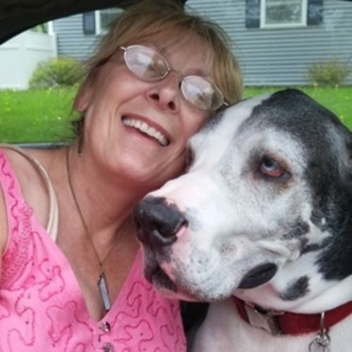 Pet Care Provider Julie V's Profile Picture