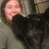 Experienced animal Sitter/Groomer/Walker