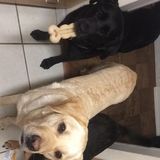 There part the family too