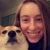 My name is Karissa Schroeder and I am looking to walk and sit dogs in the Beaufort area.