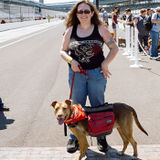 Skillful Dog Walker/Trainer Available Immediately