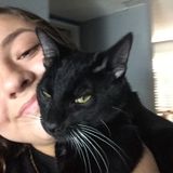 Hi Im Nicole And I Love Cats And Dogs! I Love Taking Care Of Them!