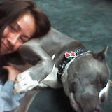 Pawsatively pampering your pets. Insured with ecializing in bully breeds and mastiffs. Available immediately