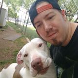 Vet techs can do more than just take care of animals.