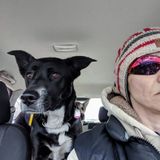 For Hire:In Winnipeg - Animal Lover with over 30 years experience and foster to over 27 pups.