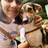 Pet Sitting Offered in Montreal