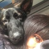 I own two dogs and a cat myself.