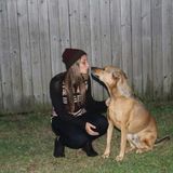 Searching for Navarre House and Petsitter Opportunity; willing to commute to Pensacola/Fort Walton