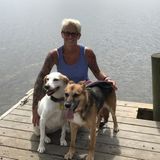 SHERI WILL DO IT! Home checks, pet sitting,local errands etc- Sunset Beach/ OIB/Calabash area
