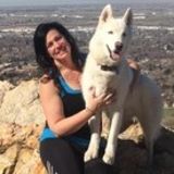 Relyable,Clean, Active,good pet walker w 16 yrs experience