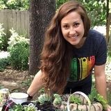 For Hire: Wonderful House and Petsitter in Astoria