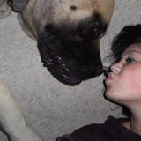 Available For Westerville Pet Sitter, Ohio Jobs