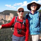 Honest Housesitter in Collingwood