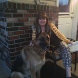 Pet Sitter Wanted in Prince George