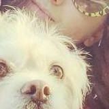 Independant pet care professional with 20+ years of experience, along with a flexble schedule/on-demand availbity