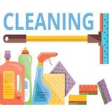 Professional Home / Office Cleaner with 25 Years Experience.