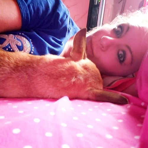 Pet Care Provider Jennifer C's Profile Picture