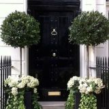 Skillful Plant Care Available