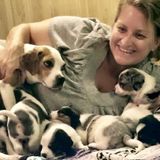 Loving pet care in my home (or yours) and other services such as walks, training, in-home checks etc...
