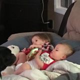 Live out in-home nanny needed!