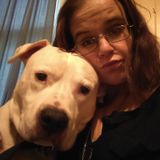 I love animals Overnight Care Offered in Utica daytime care offered walking offered etc..