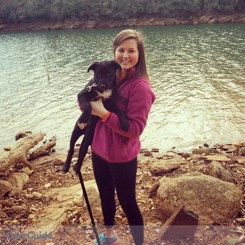 Pet Care Provider Casey Wheeler's Profile Picture