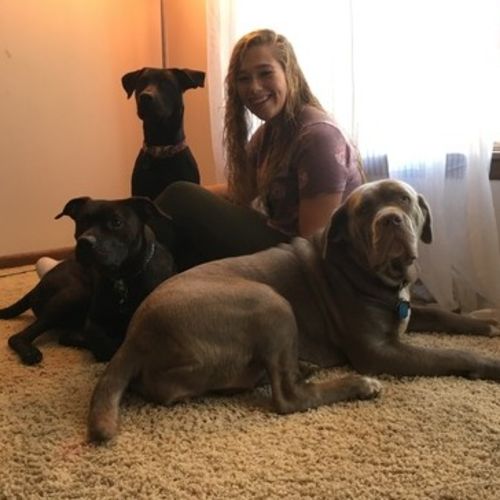 Pet Care Provider Shailyn B's Profile Picture