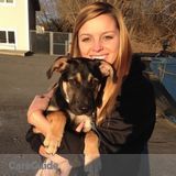 Dog Walking
