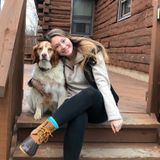 Animal lover looking to love your animals like my own!