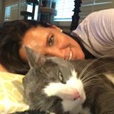 Searching for Encino House Sitter Jobs