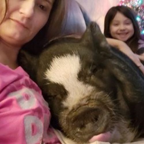 Midwest City Pet Sitter Dogs/Mini Pig Posting Pet Sitter Job in Midwest City, OK