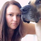 Seeking a House Sitting Provider Opportunity in Mission and surrounding areas