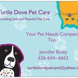 Turtle Dove Pet Care